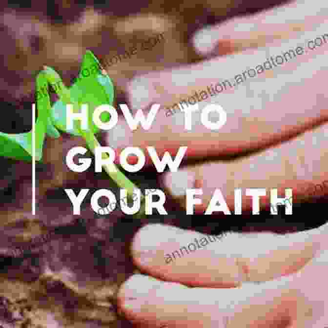 90 Devotions With Photos To Grow Your Faith Chasing The Light: 90 Devotions Photos To Grow Your Faith