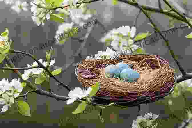 A Beautifully Constructed Nest With A Bird Perched On The Edge Nests: Fifty Nests And The Birds That Built Them