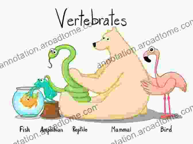 A Bird, The First Vertebrate To Have Feathers Vertebrate Evolution: From Origins To Dinosaurs And Beyond