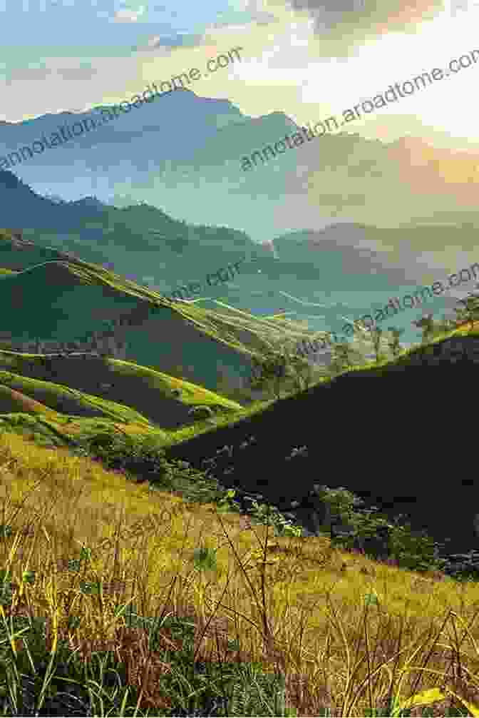 A Breathtaking Landscape Photograph Of Rolling Hills Bathed In The Golden Hues Of Sunset, With A Distant Mountain Range Piercing The Horizon. My Favorite Color Images: From 50 Years Of Photography