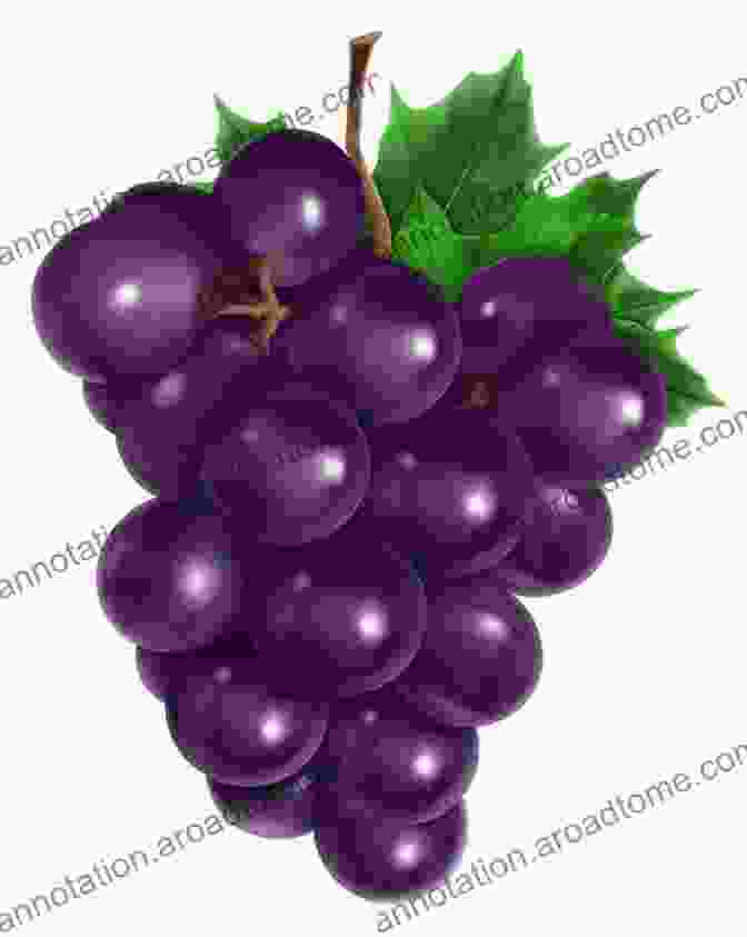 A Bunch Of Purple Grapes Colorful Fruit (Nonfiction Early Readers)