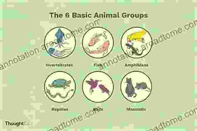 A Colorful Illustration Of A Group Of Animals And Their Corresponding Numbers 1 2 3 What Do You See?: A Counting For Toddlers