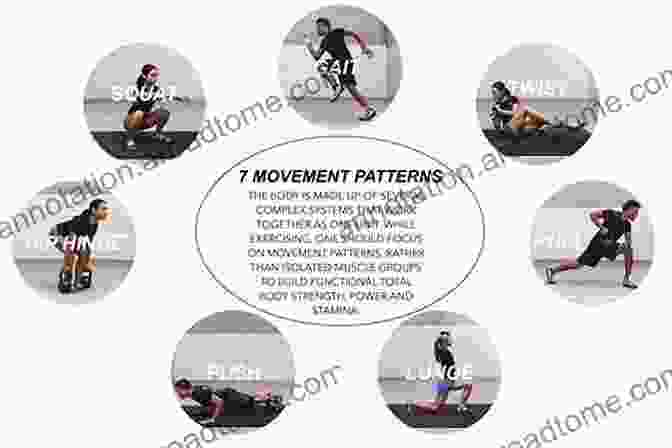 A Depiction Of Different Movement Patterns And Their Analysis Biomechanics And Motor Control Of Human Movement