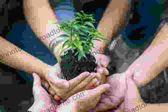 A Group Of People Planting Vegetation On A Restored Sandy Beach. A Grain Of Sand: Nature S Secret Wonder