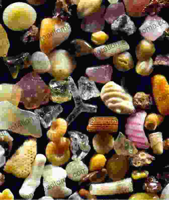 A Microscopic Image Of A Sand Grain, Revealing Its Intricate Shape And Texture. A Grain Of Sand: Nature S Secret Wonder