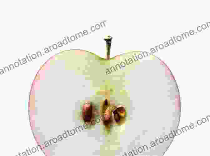 A Sliced Apple With Visible Seeds Colorful Fruit (Nonfiction Early Readers)