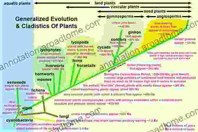 A Vibrant Illustration Depicting The Profound Impact Of Plants On Earth's Evolution The Emerald Planet: How Plants Changed Earth S History (Oxford Landmark Science)