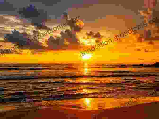 A Vibrant Orange Sunset Over A Tranquil Ocean, Casting Golden Hues Across The Sky And Reflecting On The Water's Surface The Picture Of Sunstes: Beautiful Photography For Seniors And Alzheimer S Patients With Dementia Or Children A Perfect Gift Idea For The Real Fans Of Sunset Amazing Full Color Photo