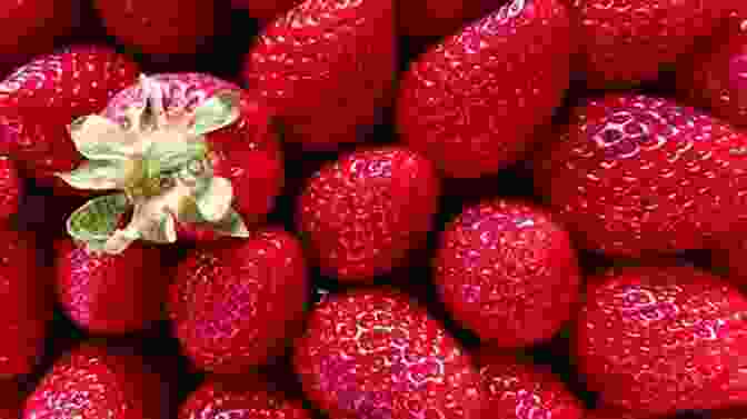 A Vibrant Photograph Of A Cluster Of Ripe Strawberries Colorful Fruit (Nonfiction Early Readers)