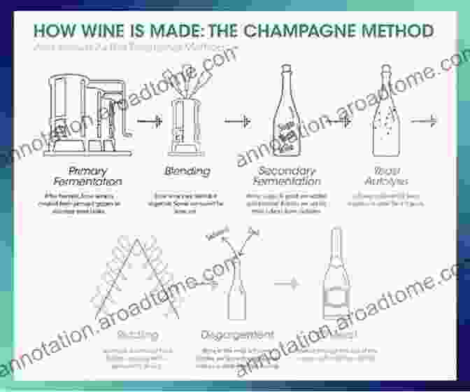 A Visual Representation Of The Champagne Production Process HISTORY OF CHAMPAGNE: SPARKLING WINES OF FRANCE