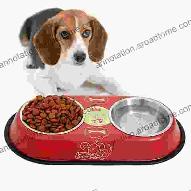 An Assortment Of Healthy Pet Food Dishes, Including A Meatloaf, A Stew, And A Variety Of Treats. Easy Dog Food Recipes: 60 Healthy Dishes To Feed Your Pet Safely