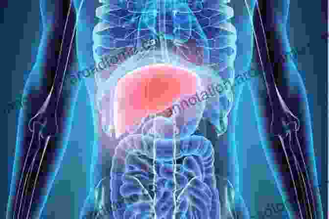 An Image Of A Healthy Liver With Text Superimposed Reading 'The Advanced Newest Liver Detox Cookbook' The Advanced Newest Liver Detox Cookbook: Healing Diet Recipes To Cleanse Liver Live Healthy