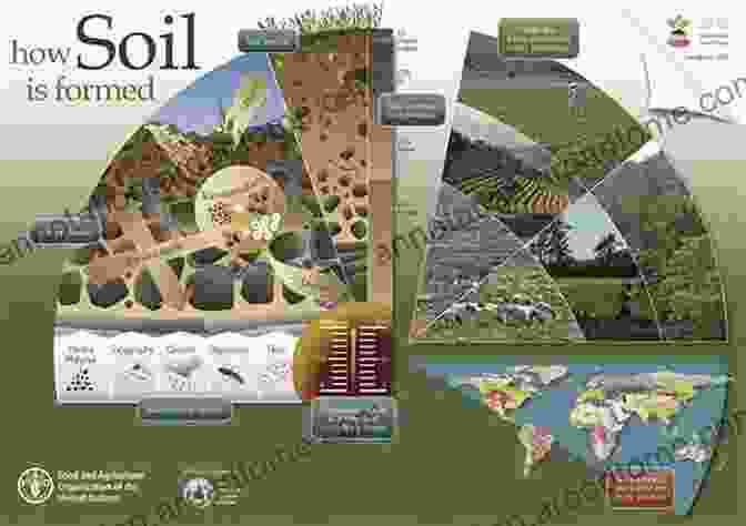 An Infographic Depicting The Complex Role Of Plants In Regulating Earth's Climate The Emerald Planet: How Plants Changed Earth S History (Oxford Landmark Science)