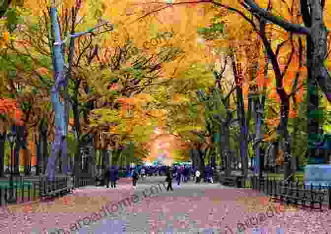 Autumn Foliage In Central Park, NYC NYC In Four Seasons David Arcos