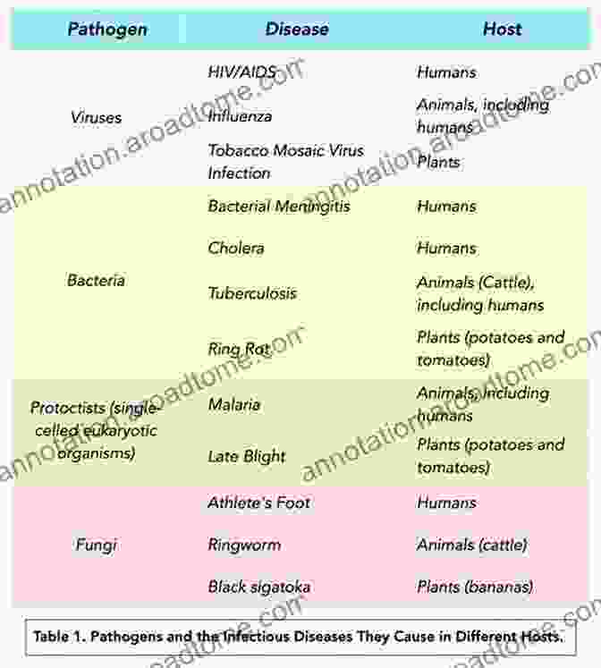 Bacterial Infections: A Vast Spectrum Of Pathogenic Agents Immunity And Infection Zevedei Barbu