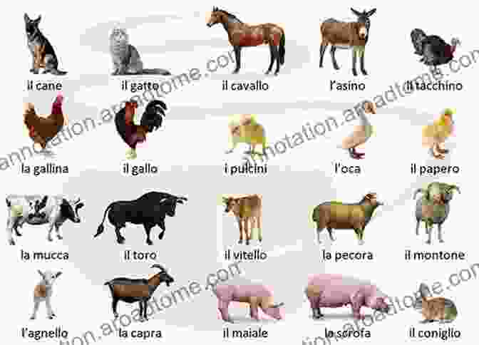 Bilingual With Online Learning Tool Domestic Animals Animali Della Fattoria Book Cover Bilingual With Online Learning Tool Domestic Animals Animali Della Fattoria English Italiano