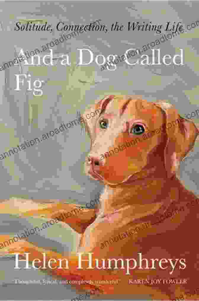 Book Cover Of 'And Dog Called Fig' Featuring A Photograph Of A Black Labrador Retriever Looking Adoringly At A Young Girl And A Dog Called Fig: Solitude Connection The Writing Life