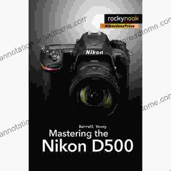 Buy Mastering The Nikon D500 Now Mastering The Nikon D500 (The Mastering Camera Guide Series)