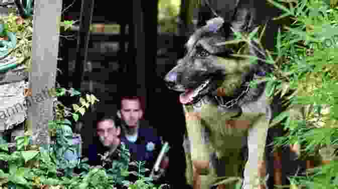 Cadaver Dog Death S Acre: Inside The Legendary Forensic Lab The Body Farm Where The Dead Do Tell Tales