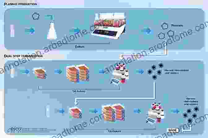 Data Processing Techniques Manufacturing Of Gene Therapeutics: Methods Processing Regulation And Validation