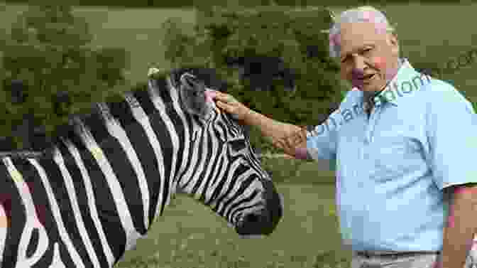 David Attenborough Exploring Wildlife In A Lush Forest Life On Earth David Attenborough