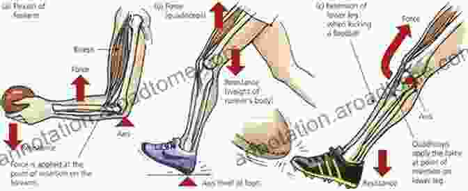 Diagram Illustrating The Fundamental Principles Of Biomechanics Biomechanics And Motor Control Of Human Movement