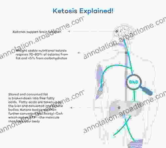 Diagram Illustrating The Process Of Ketosis In The Body Understanding Keto: How You Can Get Started On The Ketogenic Diet So That You Can Lose Fat Increase Mental Clarity And Eliminate Hunger And Cravings