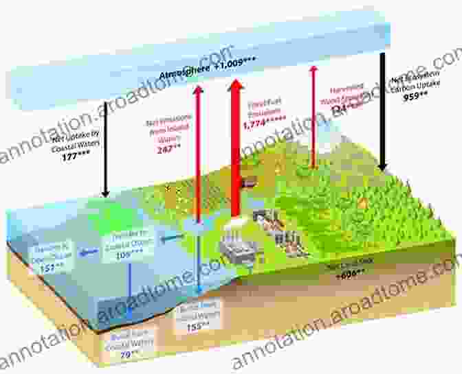 Diagram Of The Atmospheric Carbon Cycle, Highlighting Sources And Sinks Of Carbon Dioxide The Global Carbon Cycle (Princeton Primers In Climate 1)