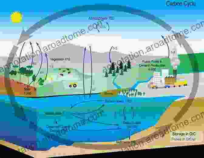 Diagram Of The Oceanic Carbon Cycle, Showing The Exchange Of Carbon Between The Atmosphere And Oceans The Global Carbon Cycle (Princeton Primers In Climate 1)