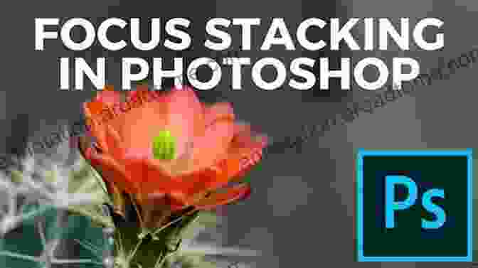 Focus On Photoshop Elements: The Comprehensive Guide To Digital Photo Editing Focus On Photoshop Elements: Focus On The Fundamentals (The Focus On Series)