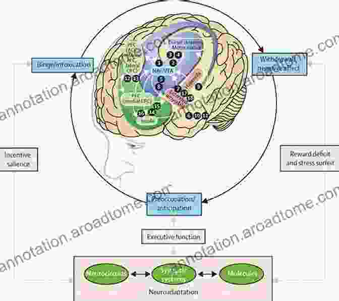 Graph Demonstrating The Effects Of Neuroscience Based Interventions On Depressive Symptoms Lasting Change: Overcoming The Grip Of Anxiety Depression Trauma With User Friendly Neuroscience