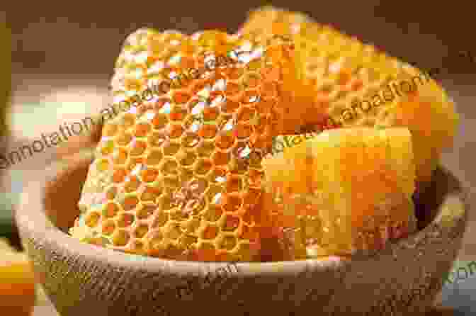 H Is For Honeycomb: A Honeycomb, Its Hexagonal Cells Filled With Golden Honey, Represents The Letter 'H.' ABCs In Nature (Everyday Alphabet)