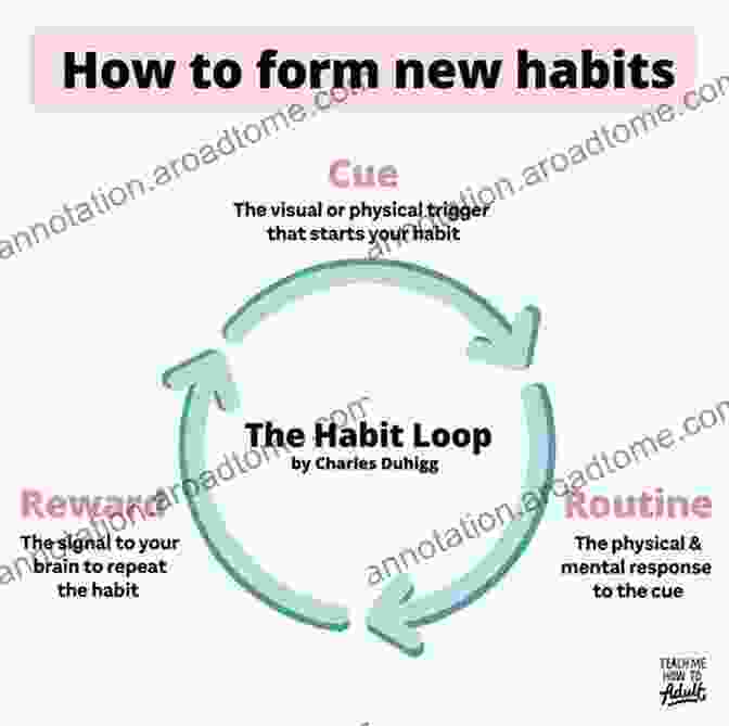 Habit Formation Cycle Infographic The Art And Science Of Personality Development