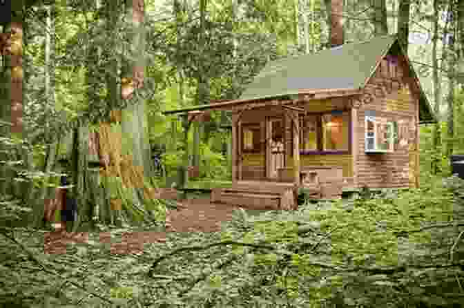 Log Cabin In Harmony With Nature The Log Cabin Book: A Complete Builder S Guide To Small Homes And Shelters