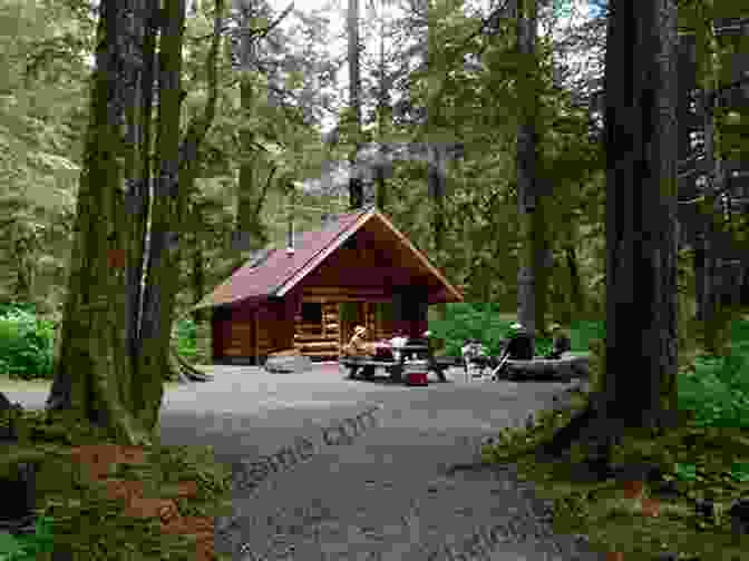 Log Cabin Location In The Forest The Log Cabin Book: A Complete Builder S Guide To Small Homes And Shelters