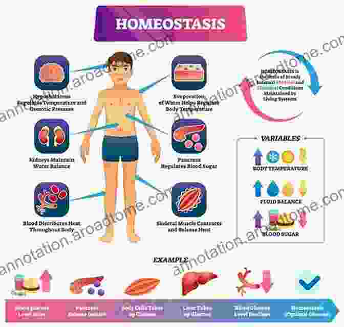 Metabolism And Homeostasis In Living Organisms The Origin And Nature Of Life On Earth: The Emergence Of The Fourth Geosphere