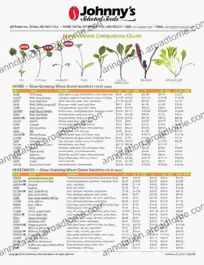 Microgreens Nutritional Value Chart Microgreens: A Guide To Growing Nutrient Packed Greens