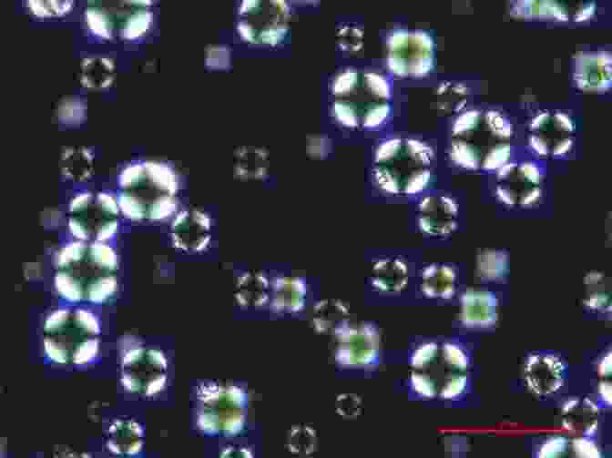 Microscopic Structure Of Liquid Crystals Liquid Crystals (Solid State Physics : Supplement 14)