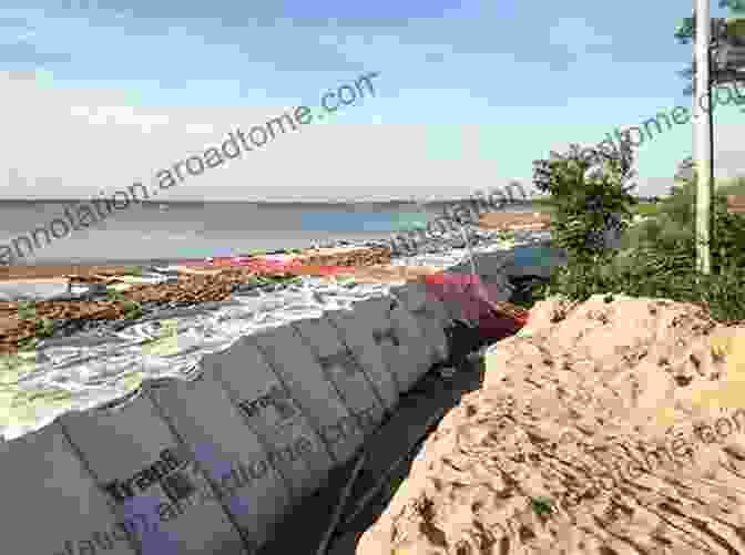 Sand Dunes Protecting A Coastal Community From Storm Surges. A Grain Of Sand: Nature S Secret Wonder