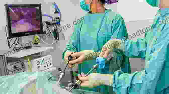 Surgeon Performing Minimally Invasive Laparoscopic Surgery On A Small Animal Advances In Small Animal Care 2024 E