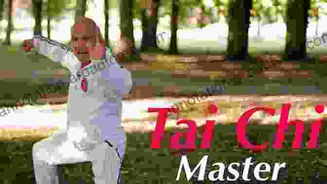 Tai Chi Chuan As The Masters Of The Next Level See It Anan Do Integral Martial Desperately Seeking Yin: Tai Chi Chuan As The Masters Of The Next Level See It (Anan Do Integral Martial And Therapeutic Arts Series)