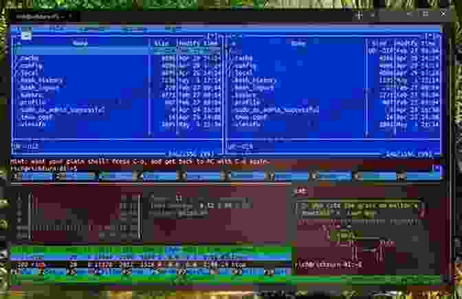 Terminal Window Showcasing Advanced Command Line Techniques A Practical Guide To Linux Commands Editors And Shell Programming