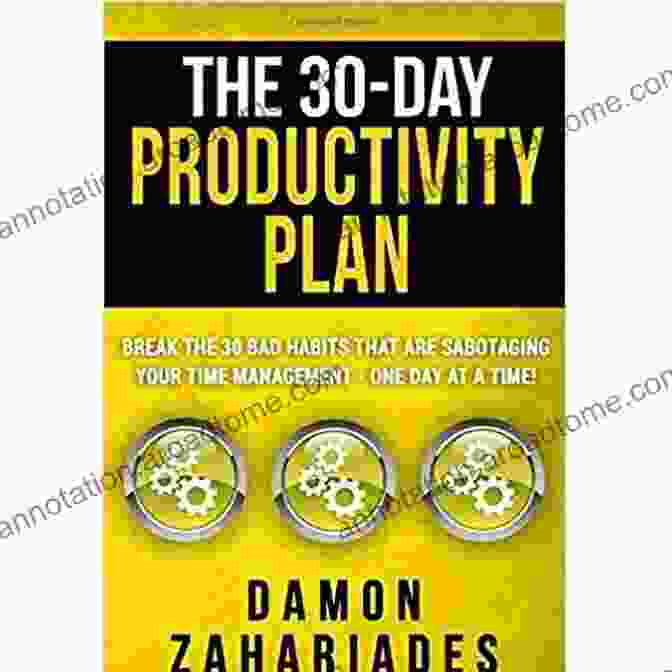 The 30 Day Productivity Plan Book Cover The 30 Day Productivity Plan: Break The 30 Bad Habits That Are Sabotaging Your Time Management One Day At A Time (The 30 Day Productivity Boost 1)