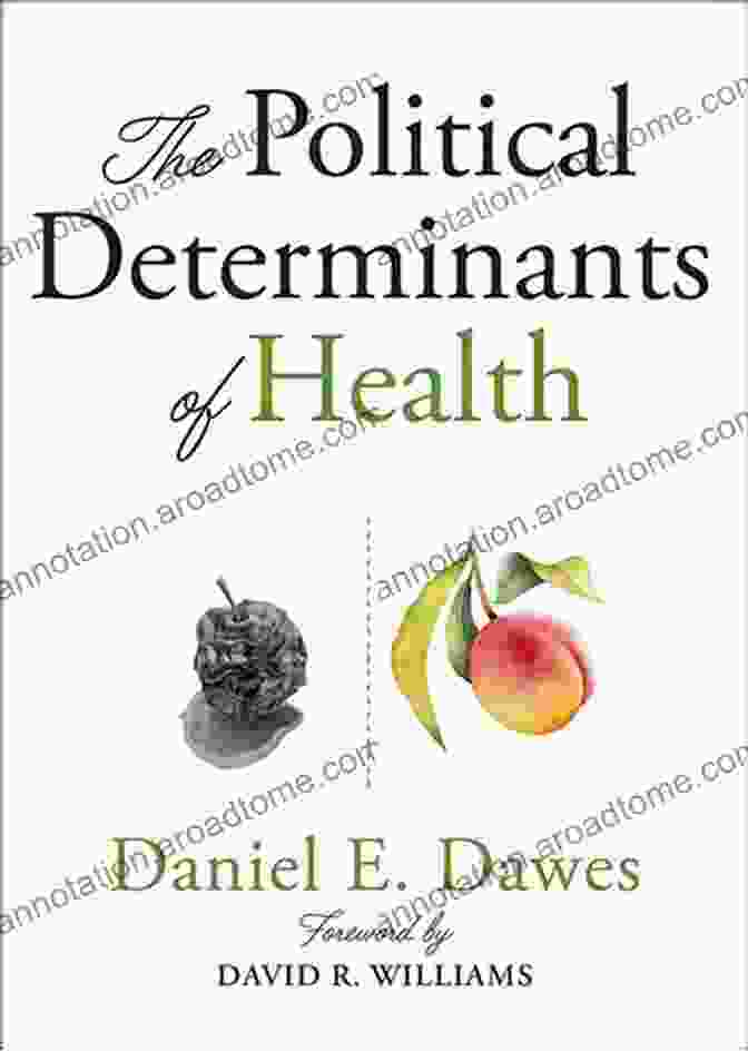 The Political Determinants Of Health Book Cover The Political Determinants Of Health