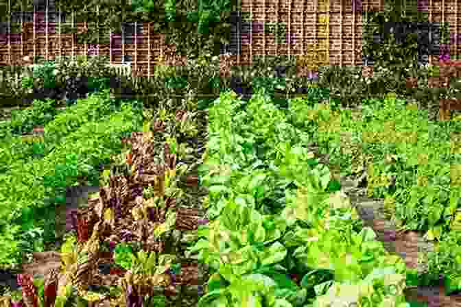 Vibrant Vegetables Growing In A Garden What S In The Garden?: Learn Where Food Comes From (Part Cookbook Part Gardening For Kids)