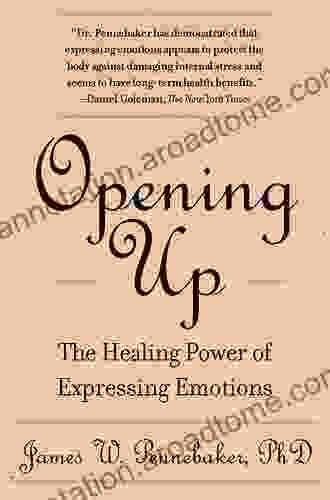 The Healing Power of Emotion: Affective Neuroscience Development Clinical Practice (Norton on Interpersonal Neurobiology)