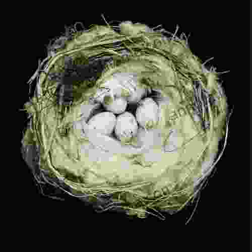 Nests: Fifty Nests and the Birds that Built Them