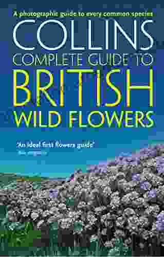 British Wild Flowers: A Photographic Guide To Every Common Species (Collins Complete Guide)