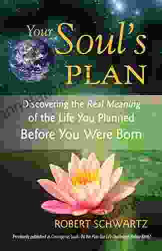 Your Soul s Plan: Discovering the Real Meaning of the Life You Planned Before You Were Born