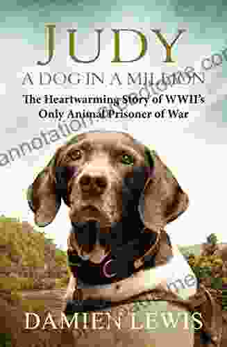 Judy: A Dog In A Million: From Runaway Puppy To The World S Most Heroic Dog